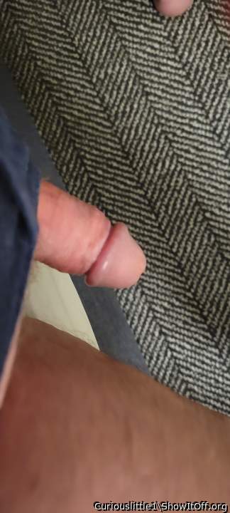 Nice little cock, I would love to suck you off.    