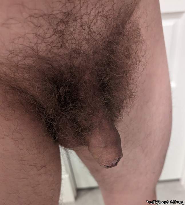 hairy penis