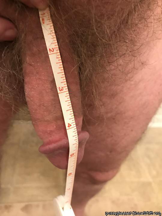 Long Hairy Pubes and Penis