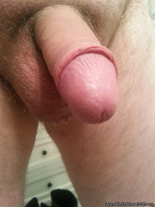 Love to suck on dicks like this.