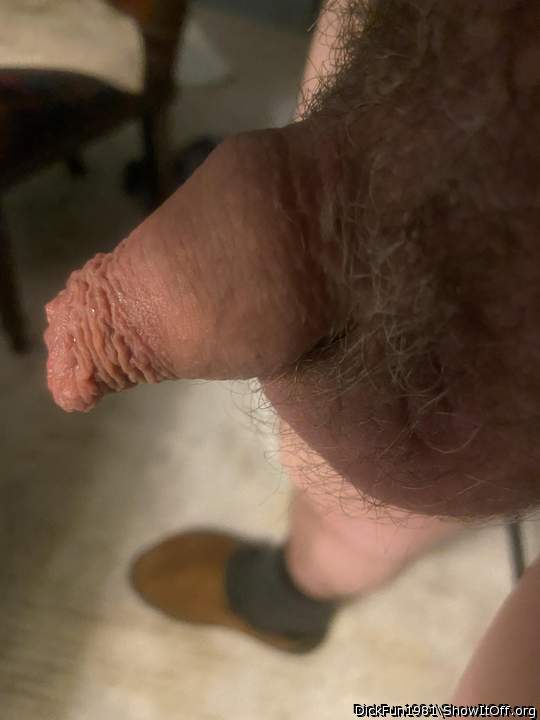 Photo of a dick from DickFun1981