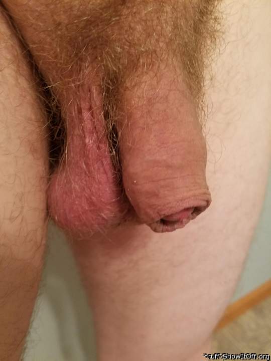 Hairy, uncut, with nice balls 