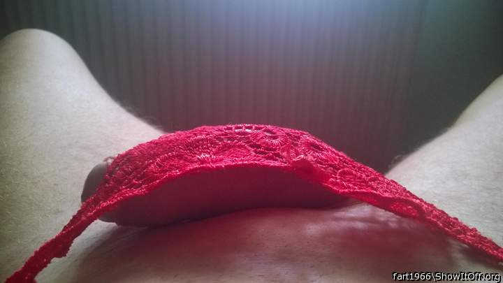  Hot smooth cock in sexy panties  