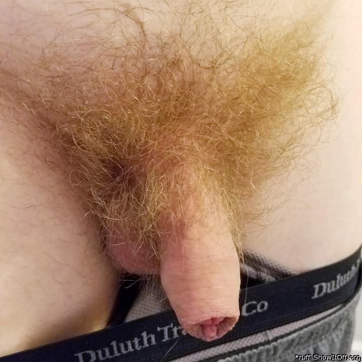 A hairy uncircumcised dick --- just the kind I like.