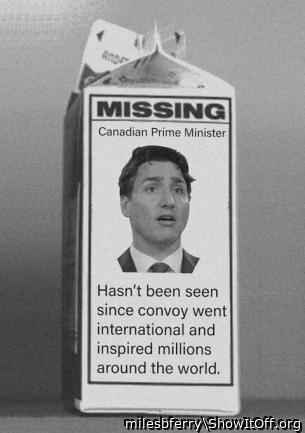 He's Gone Missing!