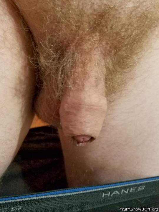 I like hairy uncut dick