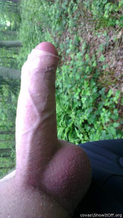  hot stiff penis.....nice big balls....and outdoors; all tha