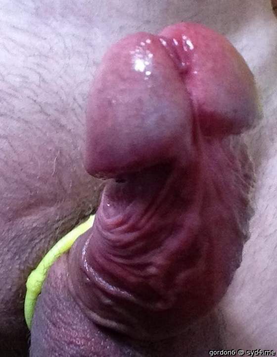 Cock in my face. I can almost smell it 