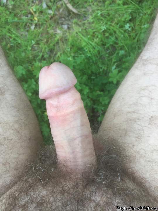 A wank in the woods