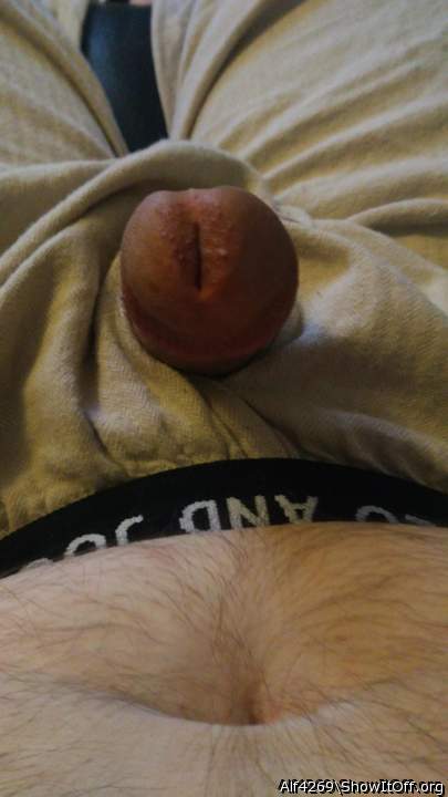 Photo of a penile from Alf4269