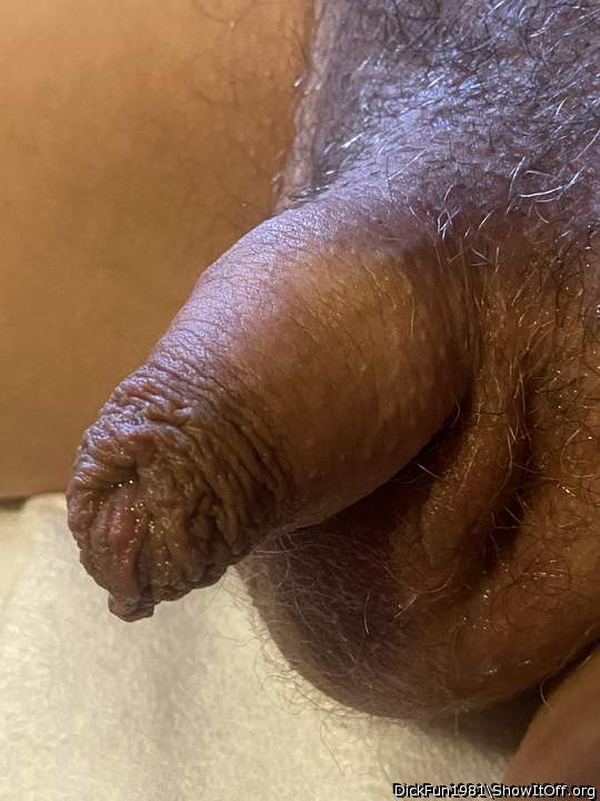 Photo of a love muscle from DickFun1981