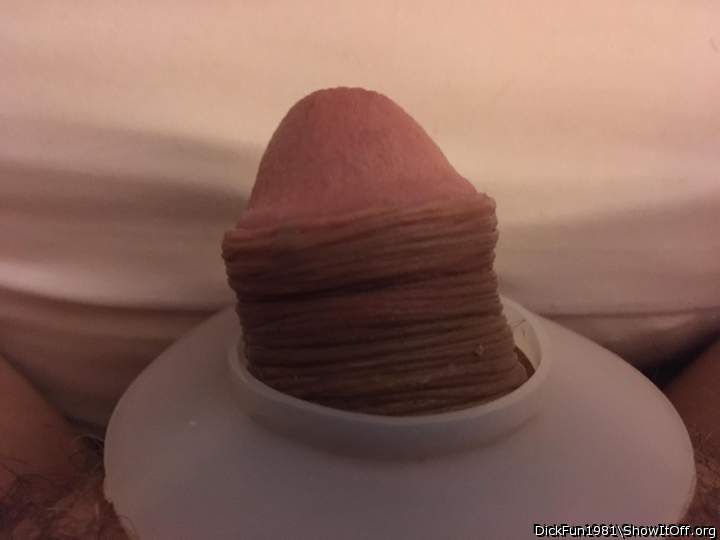 Photo of a penis from DickFun1981