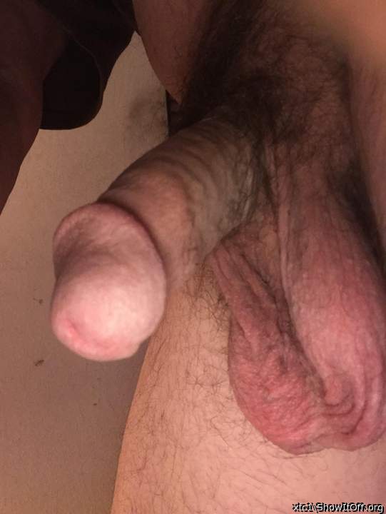 Sexy cock and hanging balls
