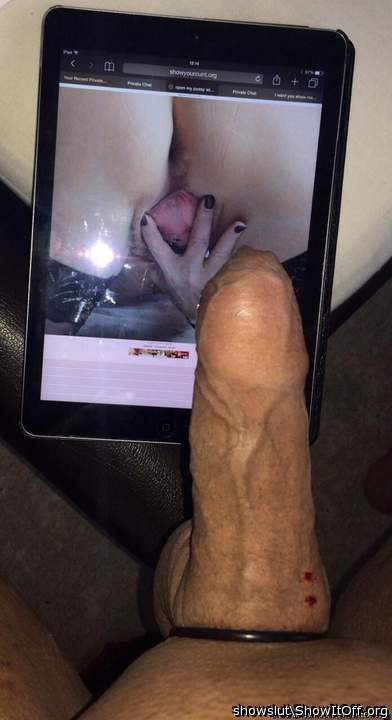 cock getting ready to cum over a slut's cunt
