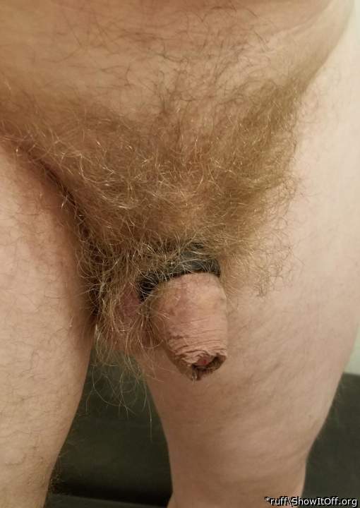 Love that fur, that hooded knob. My mouth wants it