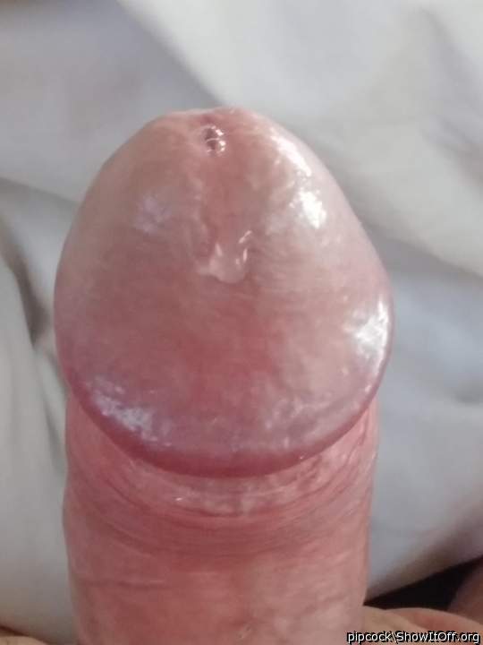Nice cock and pre!!!  