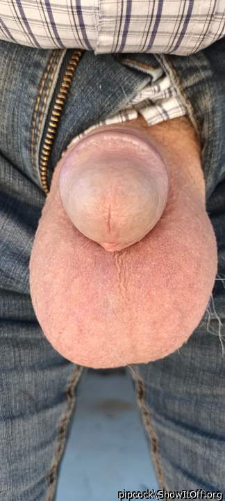 are my balls too big?
