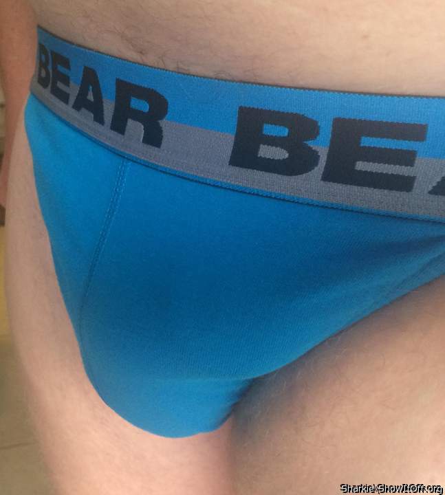 Adult image from Sharkie