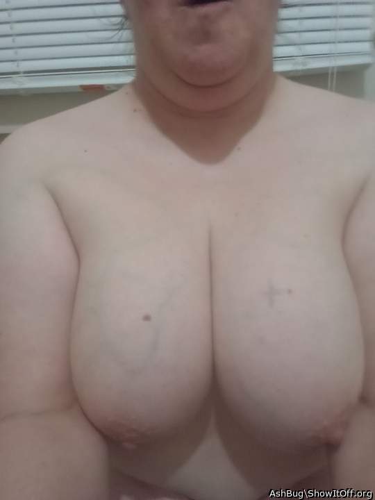 i wish everybody would fuck my titties