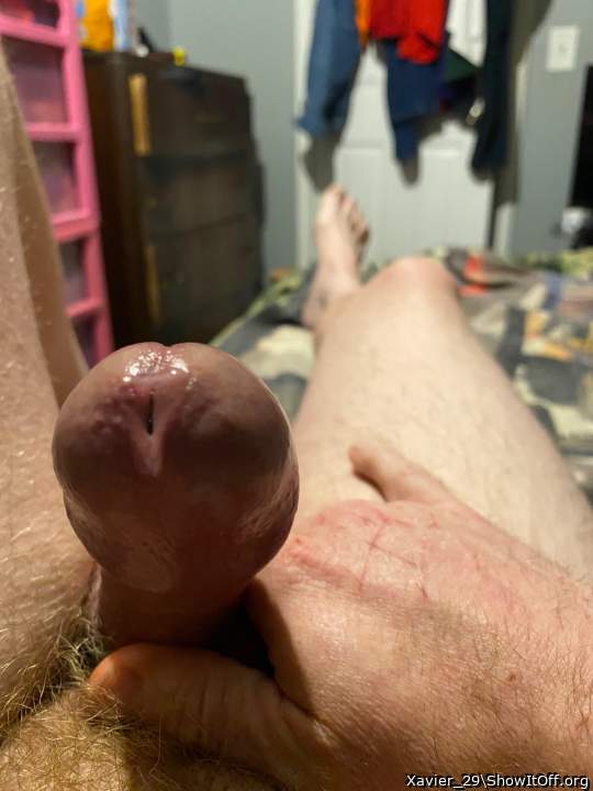 Adult image from Xavier_29