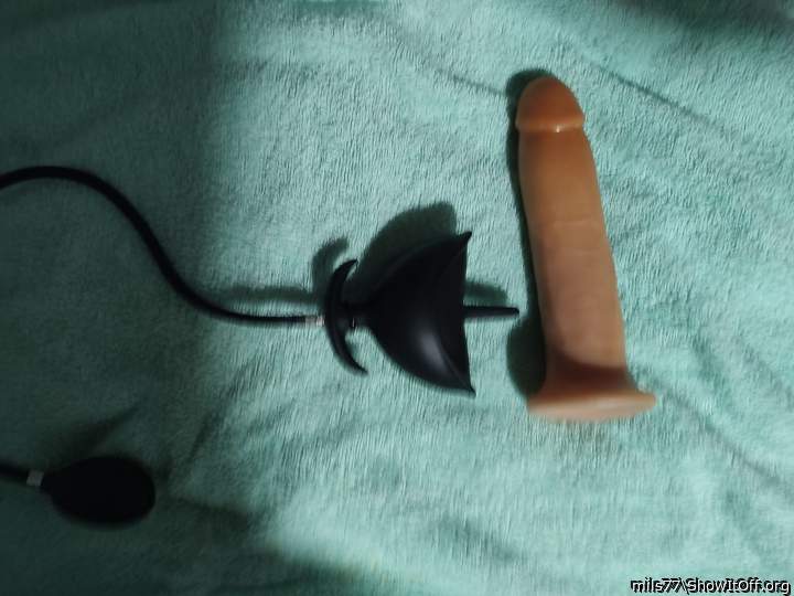 I like your dildo,he looks very friendly.