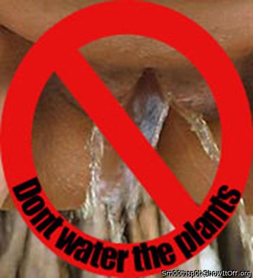 don't water the plants