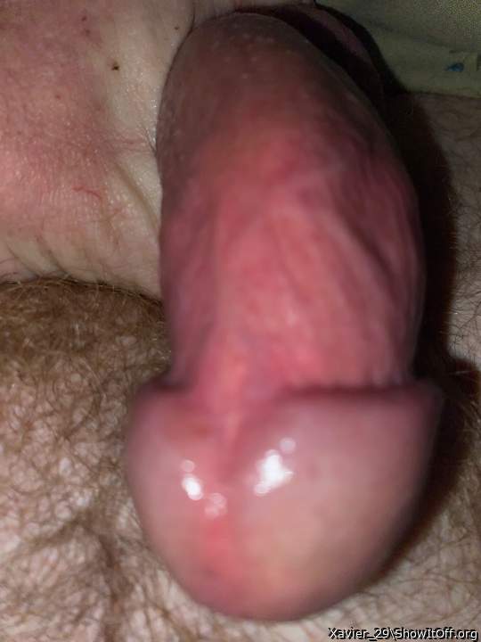 Adult image from Xavier_29