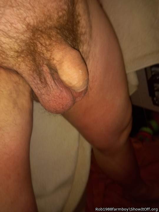 Adult image from Rob1988farmboy