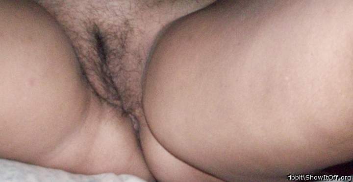 Photo of muff pie from ribbit