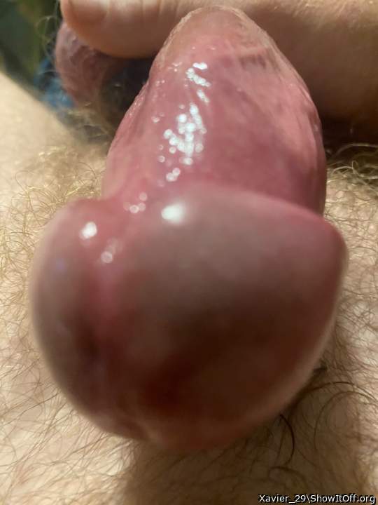 Adult image from Xavier_29