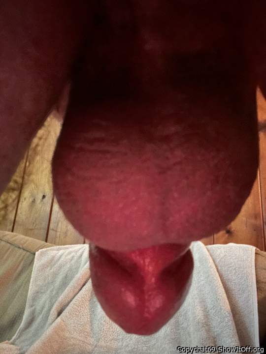 Photo of a dick from Copychat69