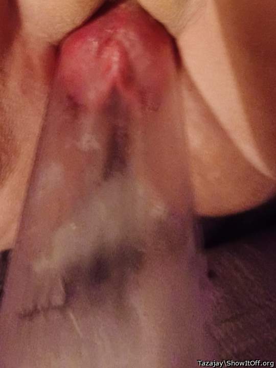 Adult image from Tazajay