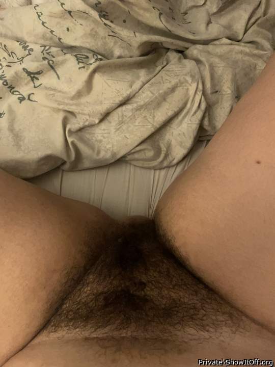 Lovely hairy pussy 