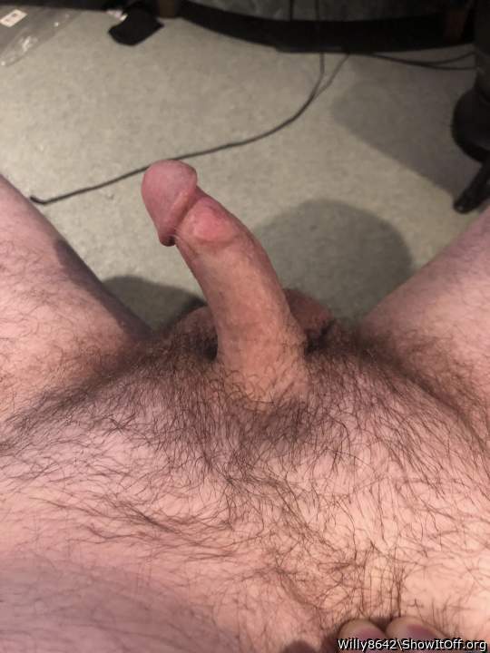 Photo of a phallus from Willy8642