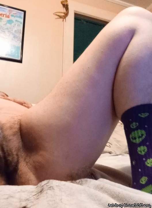 Adult image from AshBug