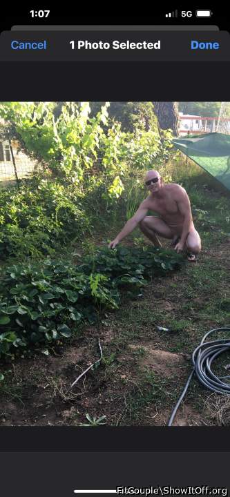 Naked gardening