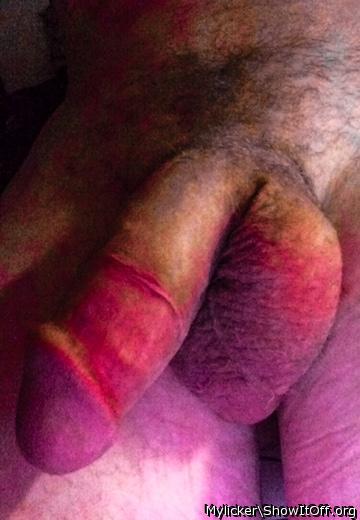 Adult image from Mylicker