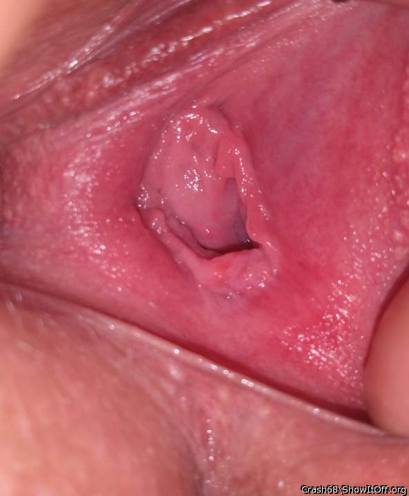 Adult image from Crash68