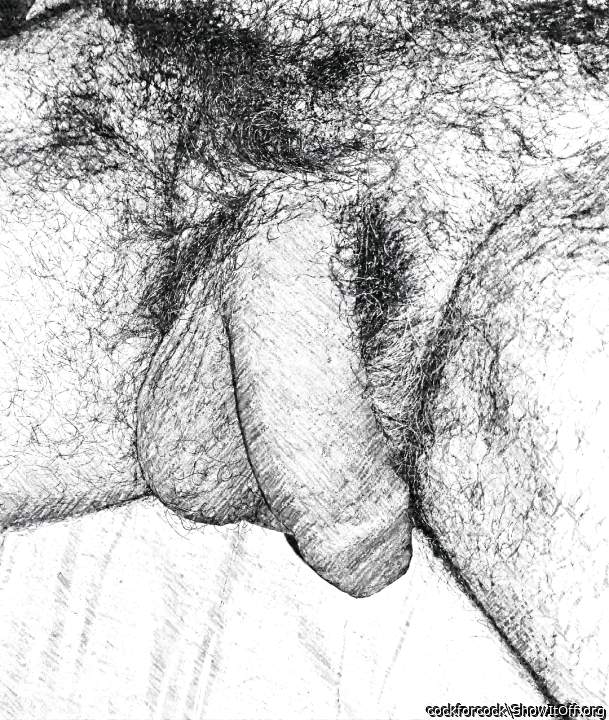 a pencil sketch of my pride