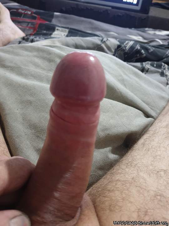 Photo of a boner from MYCOCK66