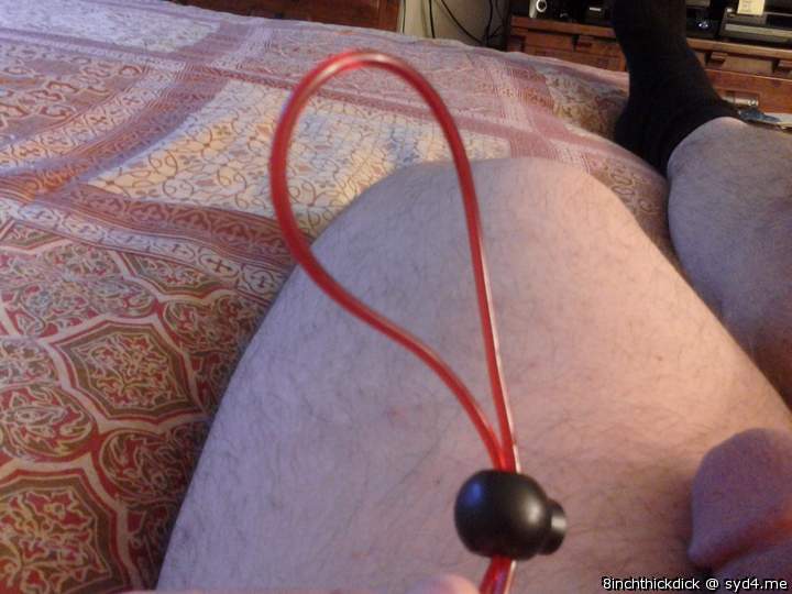 Adult image from 8inchthickdick