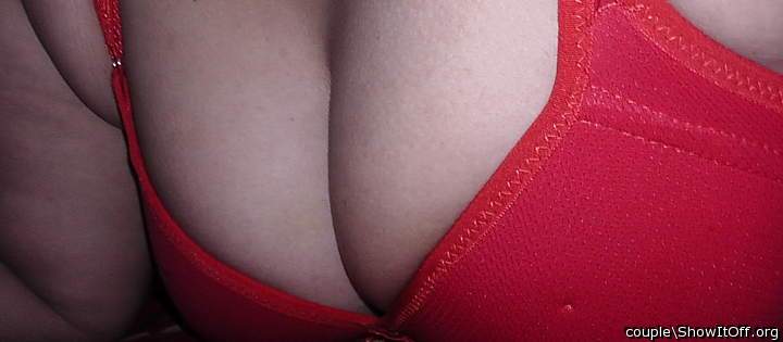 Photo of puppies from couple