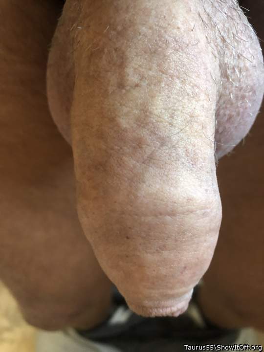 Photo of a short leg from Taurus55