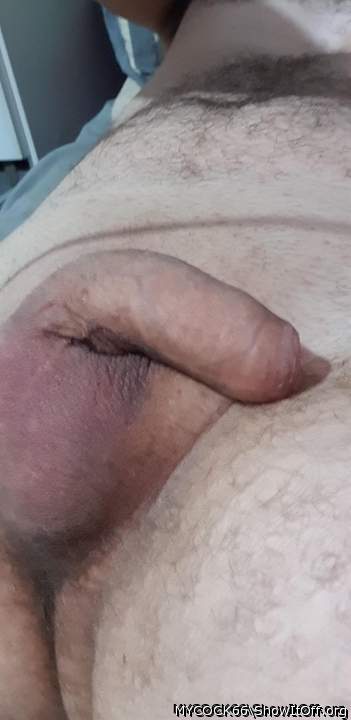 Photo of a third leg from MYCOCK66