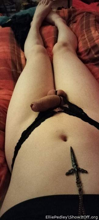 A beautiful cock  