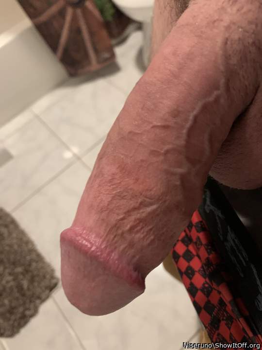 Adult image from Niseruno