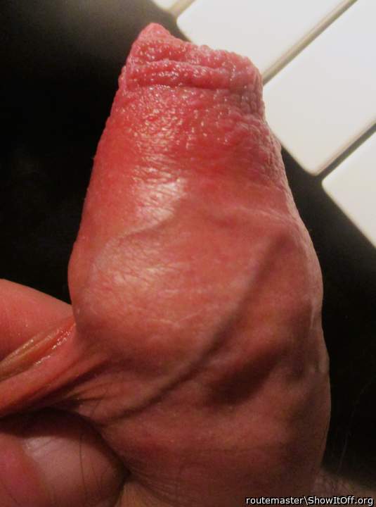 My very early Saturday morning uncut dick, 2.20 a.m., 9.3.24