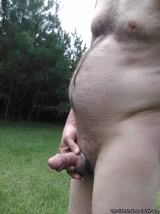 Nice fat dick to suck