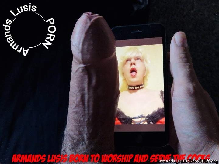 Armands_Lusis_PORN_worship_cock