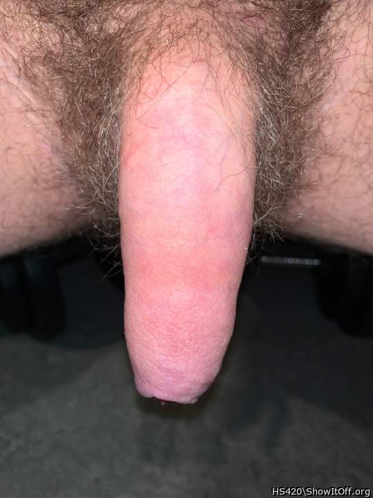 Photo of a cock from HS420